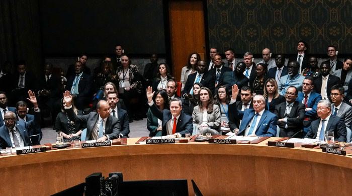 US-proposed resolution backing Trump's peace plan for Gaza sails through UNSC