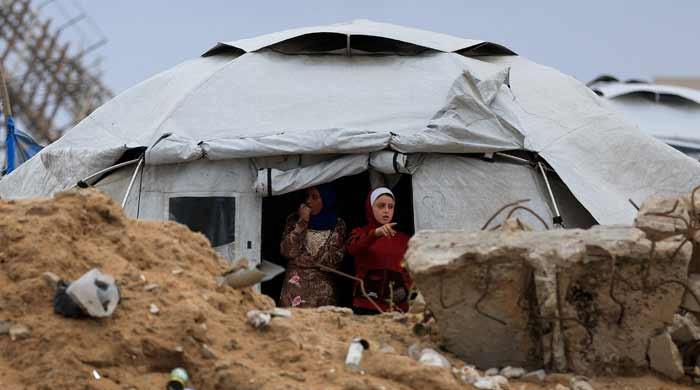 US, Arab countries demand 'swift adoption' of UNSC resolution on Gaza