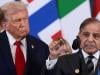 Pakistan welcomes Gaza disarmament plan, reaffirms stance on Palestinian statehood