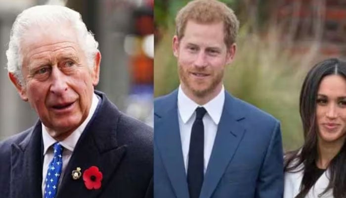 Meghan Markle, Prince Harry moaning could only by THIS Royal