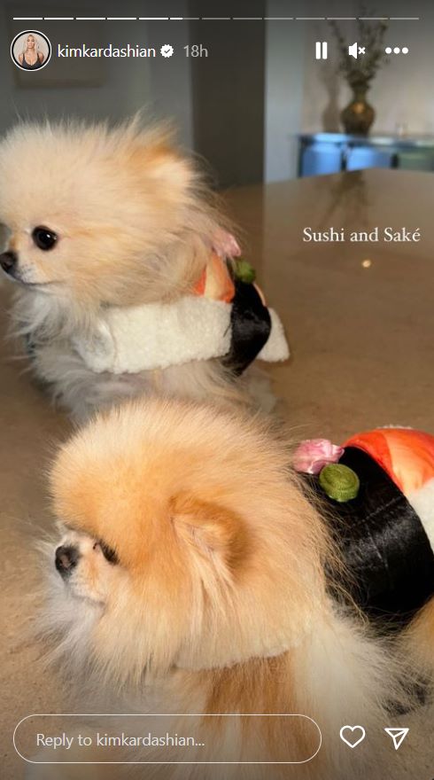 Kim Kardashians Pomeranian pups slay Halloween with themed costumes