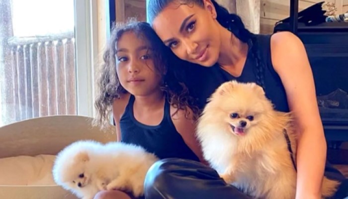 Kim Kardashians Pomeranian pups slay Halloween with themed costumes: Pic