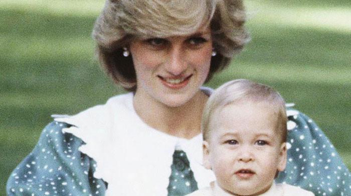 Prince William was branded 'holy terror' by Princess Diana: Here's Why - Vimarsana News