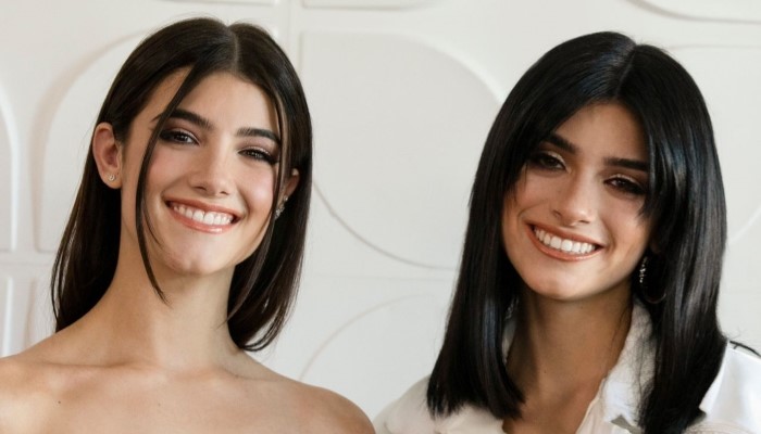 DAmelio sisters Walmart roleplaying sparks social media storm