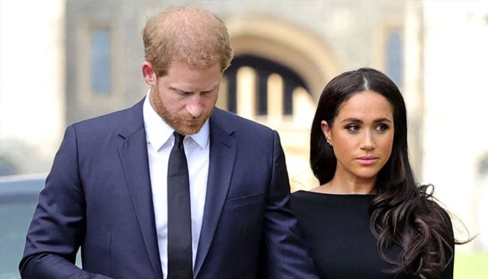 Prince Harry ‘letting’ Meghan Markle widen divides and destroy bonds