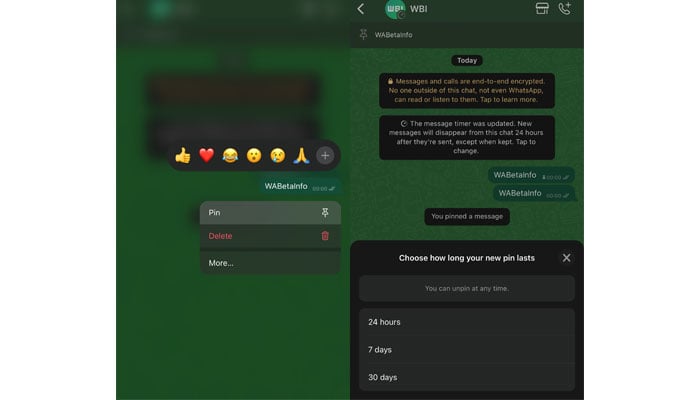 Am screenshot showing the option to pin messages on WhatsApp. — WABetainfo