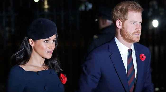 Royal family to be blamed for Prince Harry, Meghan Markle ‘controversial’ exit