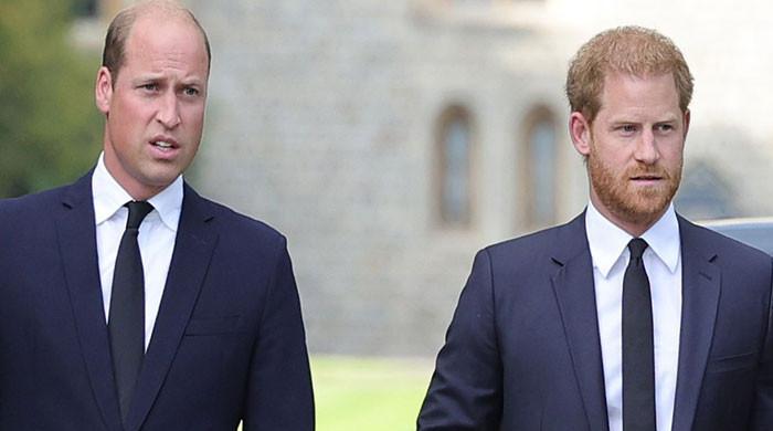 Prince William, Prince Harry told to accept ‘reality’ and ‘mature’ to mend bond