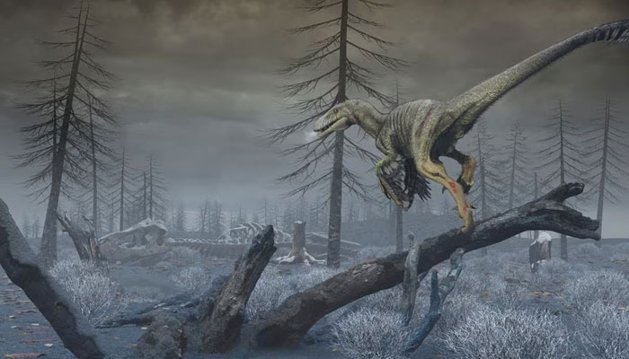This artists reconstruction depicts North Dakota in the first months following the impact of an asteroid off Mexicos coast 66 million years ago, showing a dark, dusty and cold world in which the last non-avian dinosaurs, illustrated by the species Dakotaraptor steini, were on the edge of extinction in this undated handout. — Reuters/File
