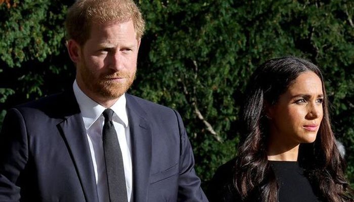 Prince Harry, Meghan Markle get Royal information from THIS family member?