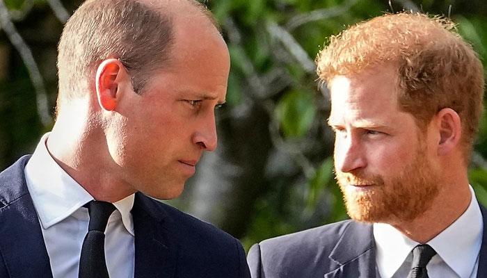 Prince Harry demands attention from media to replace Prince William