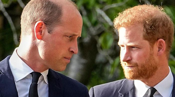 Prince Harry demands 'attention' from media to 'replace' Prince William - Vimarsana News