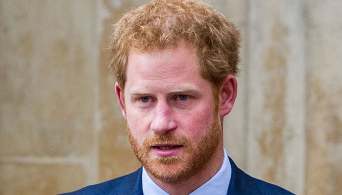 Prince Harry’s trauma expert talks ‘cash grab’ chat and hating it all
