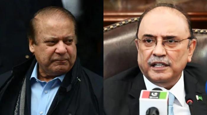 Nawaz, Zardari ‘agree to work together to save state’