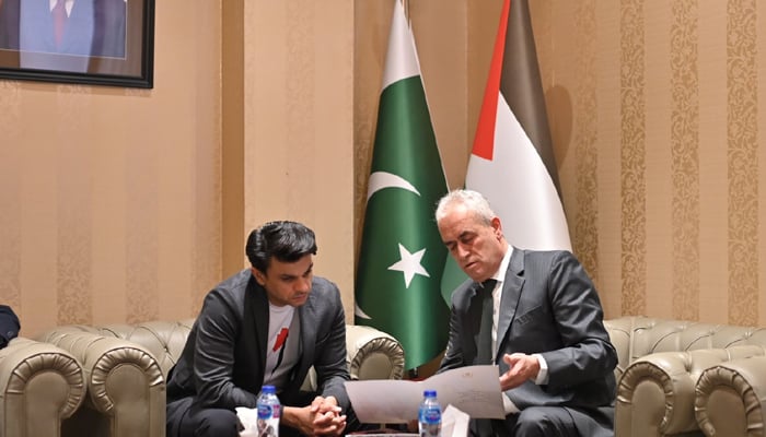 SAPM Jawad Sohrab Malik calls on  Palestinian Ambassador Ahmed RabiI in Islamabad on November 9, 2023. — Reporters