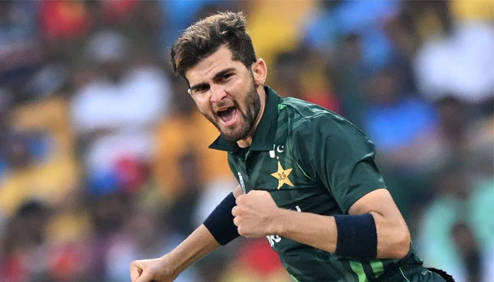 Pakistan´s Shaheen Shah Afridi celebrates after taking the wicket of Australia´s Marcus Stoinis during the 2023 ICC Men´s Cricket World Cup between Australia and Pakistan at the M Chinnaswamy Stadium in Bengaluru on October 20, 2023. — AFP
