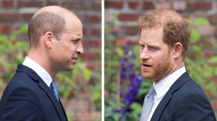 Prince Harry threatening to bring 'unwanted' attention - Vimarsana News