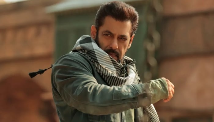 Salman Khan calls out fans using fireworks during Tiger 3 screening