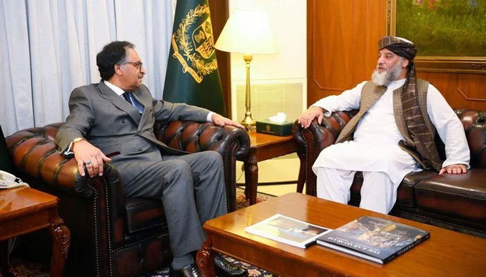 Afghan acting commerce minister Haji Nooruddin Azizi calls on caretaker foreign minister Jalil Abbas Jilani in Islamabad on Nov 14, 2023. — Facebook/arabnewspk