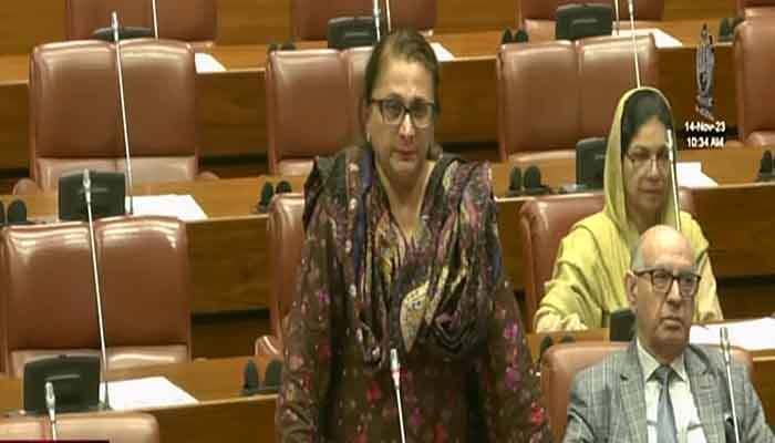Senator Saadia Abbasi of PML-N speaks during a session of the Senate on Nov 14, 2023. Screengrab
