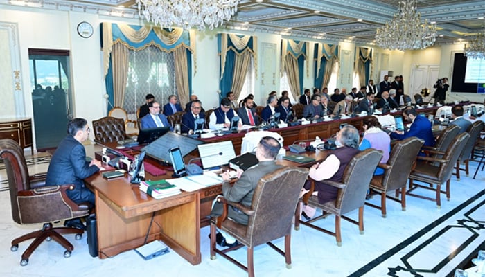 PM Anwaar-ul-Haq Kakar.heads the federal cabinet meeting on November 15, 2023. — AFP/File