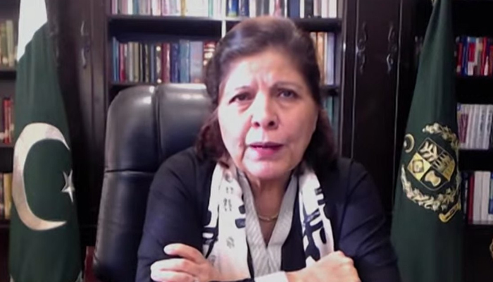 Caretaker Finance Minister Dr Shamshad Akhtar is addressing summit virtually on November 16, 2023. — X/@NutshellGroup