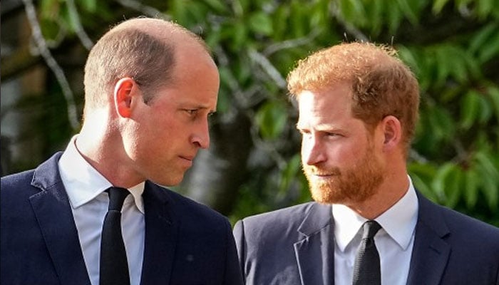 Prince William sees defector Prince Harry threat to Royal Family integrity