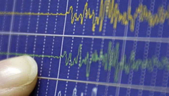 This representational image shows an earthquake being measured on a Richer Scale. — Reuters/File