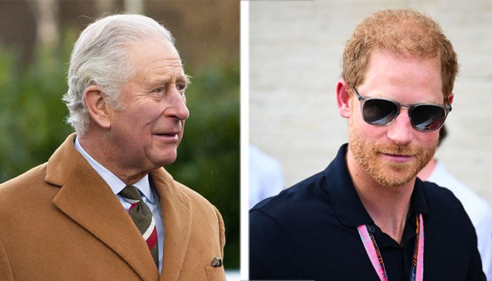 Prince Harry shovels an endless stream of manure at King Charles’