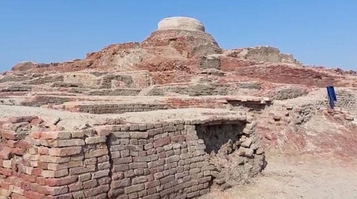 In a major discovery, copper coins recovered from Mohenjo Daro 