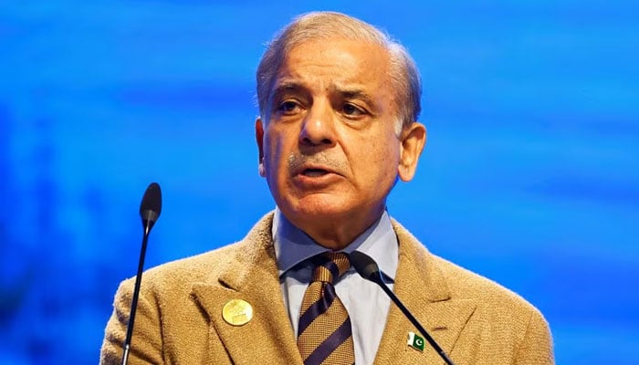 Pakistans Prime Minister Shehbaz Sharif speaks during the COP27 climate summit in Egypts Red Sea resort of Sharm el-Sheikh, Egypt November 8, 2022. — Reuters