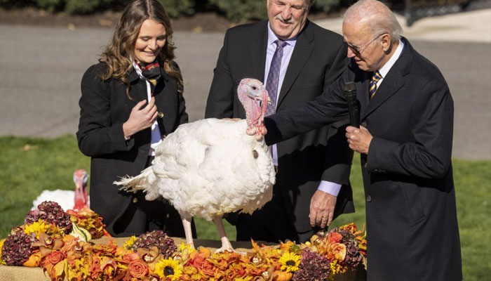 The soon-to-be exonerated birds, named Liberty and Bell, were unveiled Sunday at a news conference in Washington amid crowds and camera flashes inside the Willard InterContinental Hotel. —National Turkey Federation