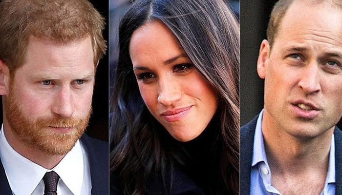 Prince Harry, Meghan Markle treated like noise in background by William?