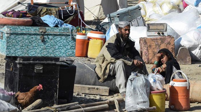 The Afghan refugee question