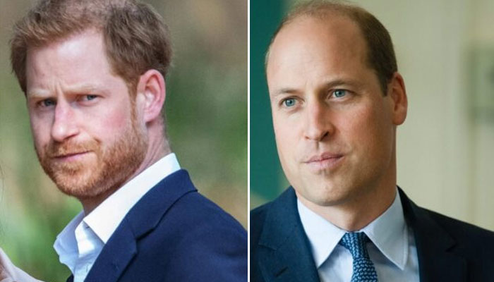 Prince William’s reaction to Prince Harry’s Christmas snub exposed