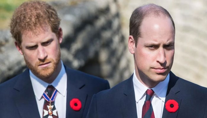Prince William mildly exasperated as Prince Harry pal drops book bomb