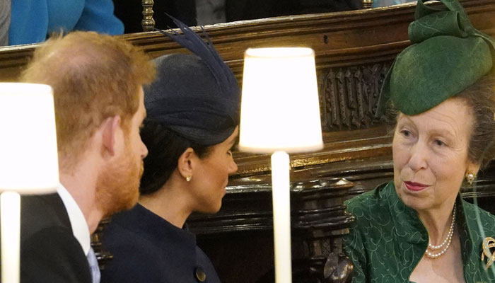 Princess Anne opinions on slimmed-down monarcy directed to Meghan, Prince Harry?