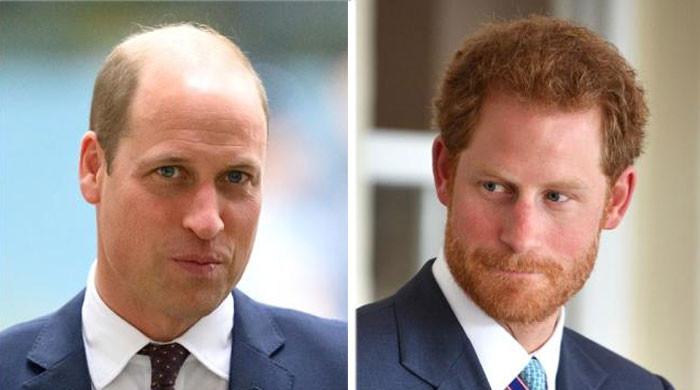 Prince Harry, Prince William’s ‘Olympic rows’ over Africa exposed