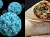 Illinois health dept investigates norovirus outbreak linked to dollar burrito event