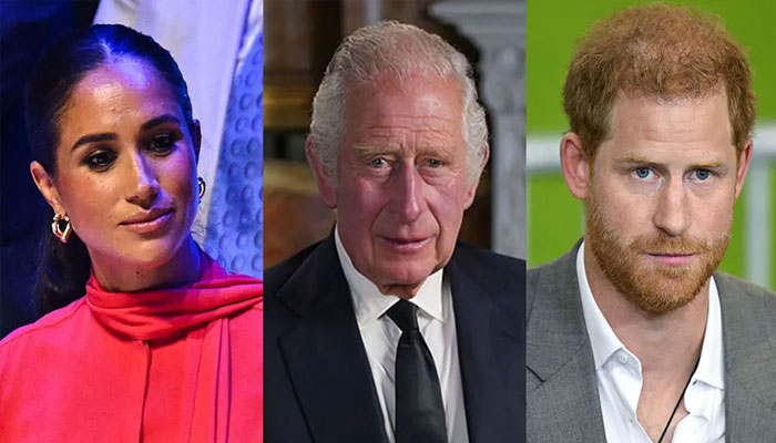 King Charles strong feelings over Meghan Markle accusations revealed