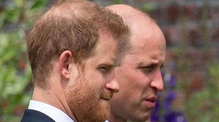 Prince William ‘refuses to recognize’ Prince Harry amid brotherly feud