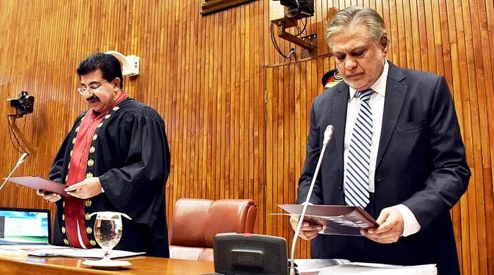 Caretaker govt ‘endorses’ Ishaq Dar as leader of house in Senate