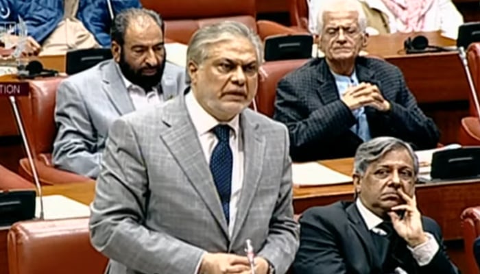 Former finance minister Senator Ishaq Dar addressing a Senate session in Islamabad, on November 27, 2023, in this still taken from a video. — YouTube/PTVNewsLive
