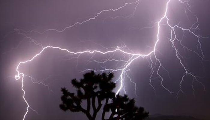 Representational image of lightning. — Reuters/File