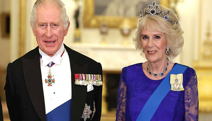 Queen Camilla raunchy freedoms made her unsuitable for King Charles