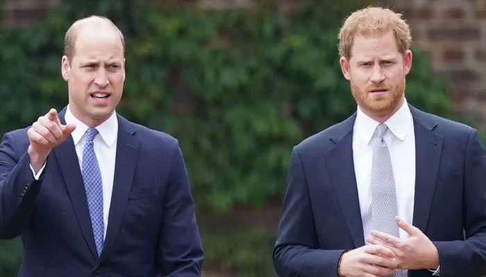 Prince William told Harry he was moving too fast with Meghan Markle