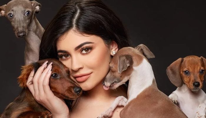 Kylie Jenner spoils her dogs with diamond collars & spa days