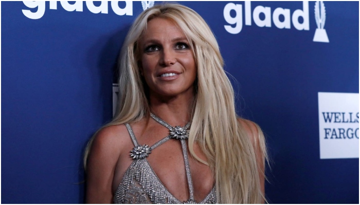 Britney Spears dishes on birthday festivities after vet emergency