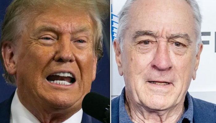 Donald Trump Flips Out At Robert De Niro.—YahooNews