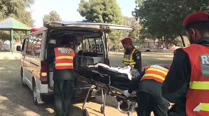 Bahawalpur Zoo closed after man mauled to death by lions